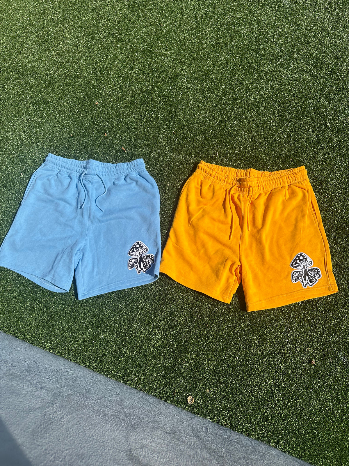 Mind of 3 “Mushrooms” Everyday Shorts