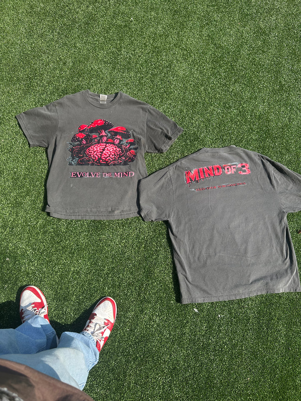 Mind of 3 “Evolve The Mind” Tee