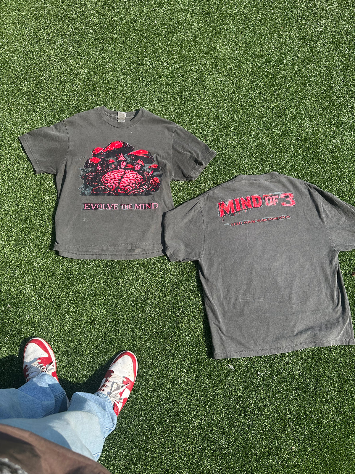 Mind of 3 “Evolve The Mind” Tee