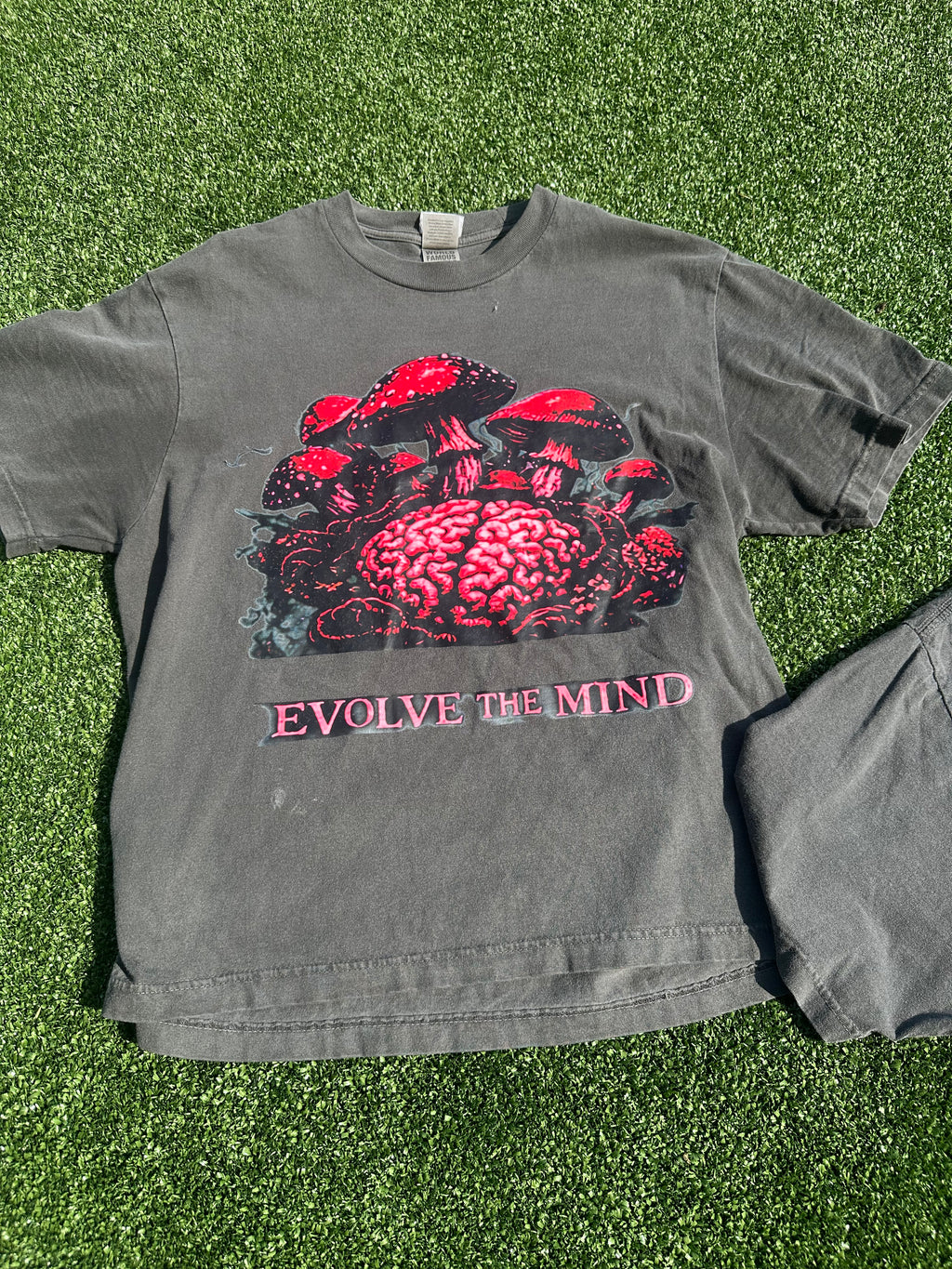 Mind of 3 “Evolve The Mind” Tee
