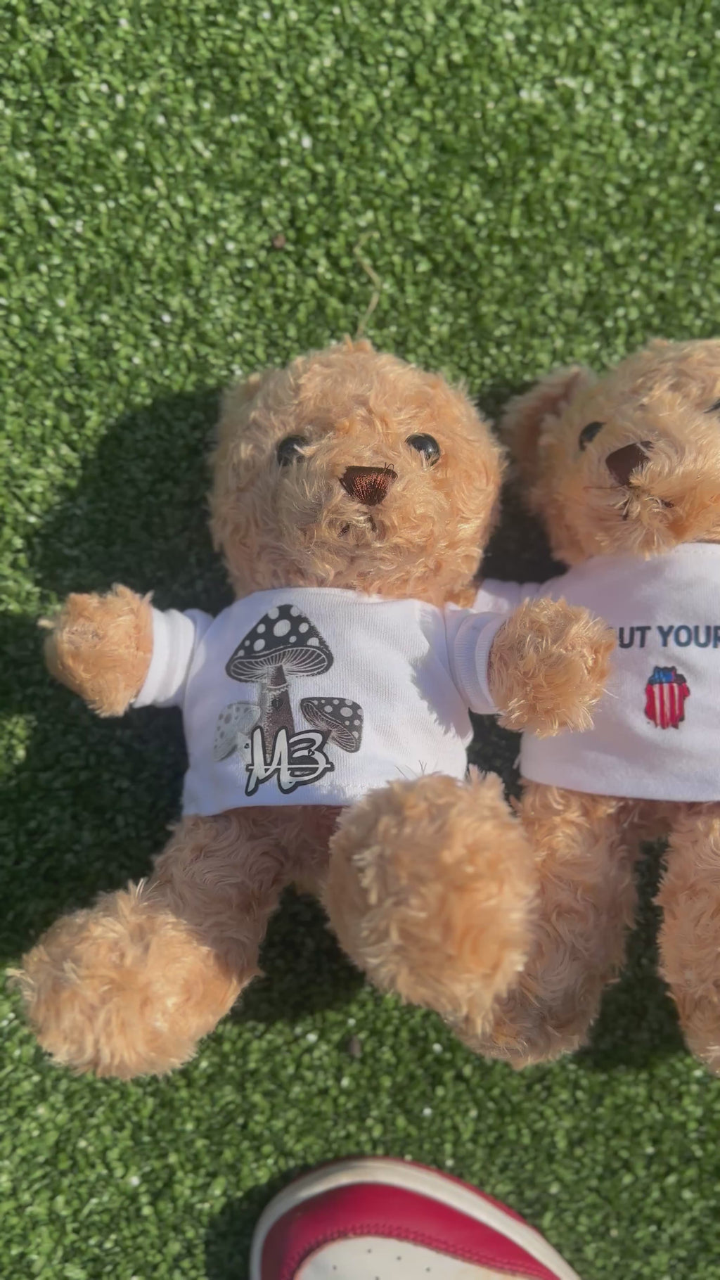 Mind of 3 Custom Logo Teddy Bears