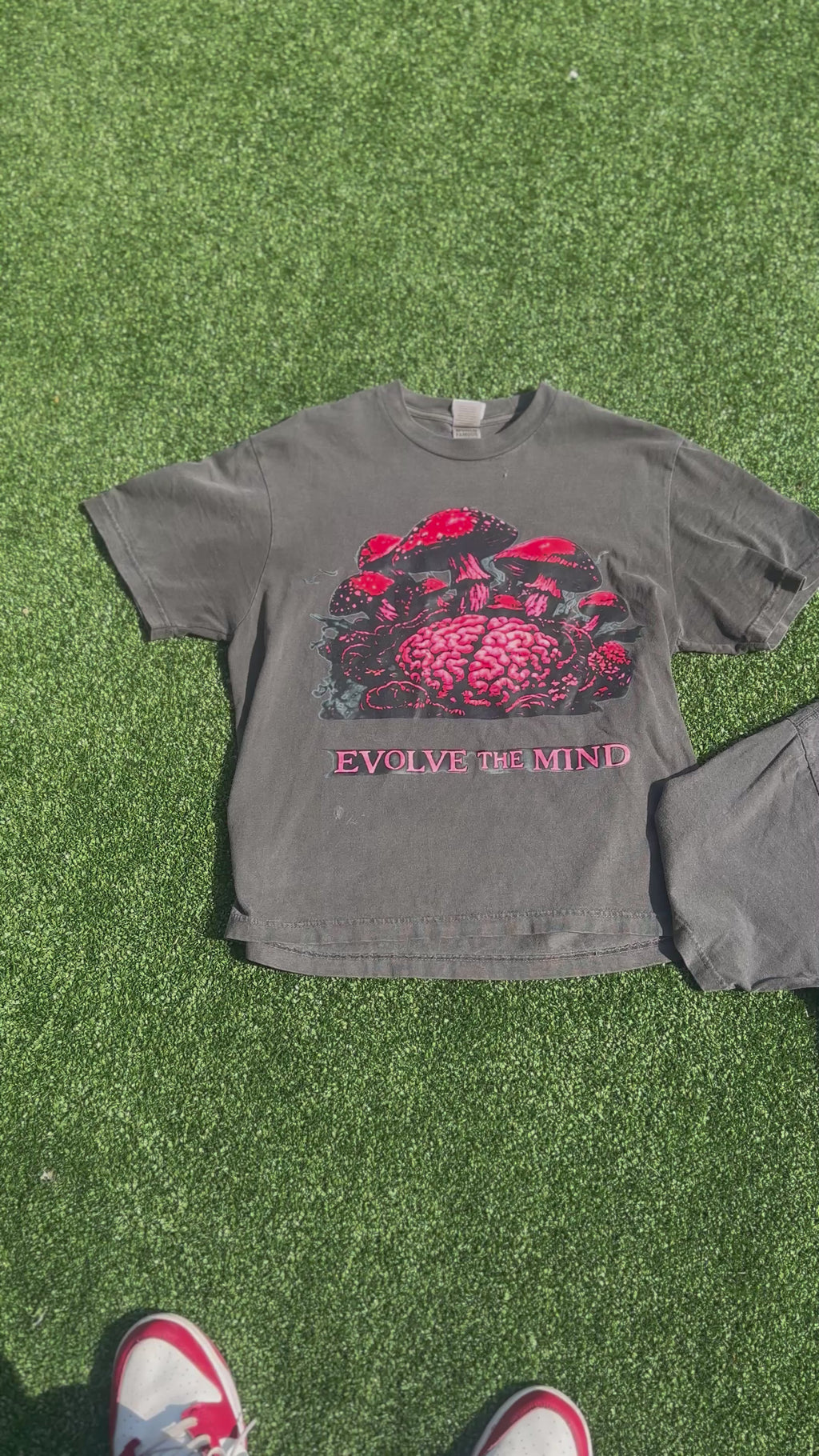 Mind of 3 “Evolve The Mind” Tee