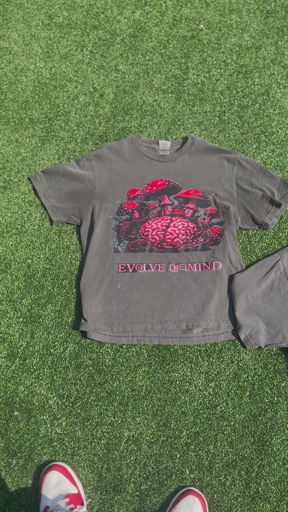 Mind of 3 “Evolve The Mind” Tee